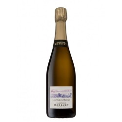 Marguet Les Saints Remys...