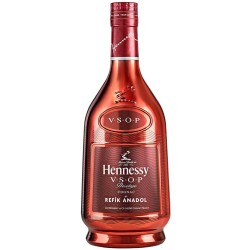 Hennessy VSOP Refik Anadol...