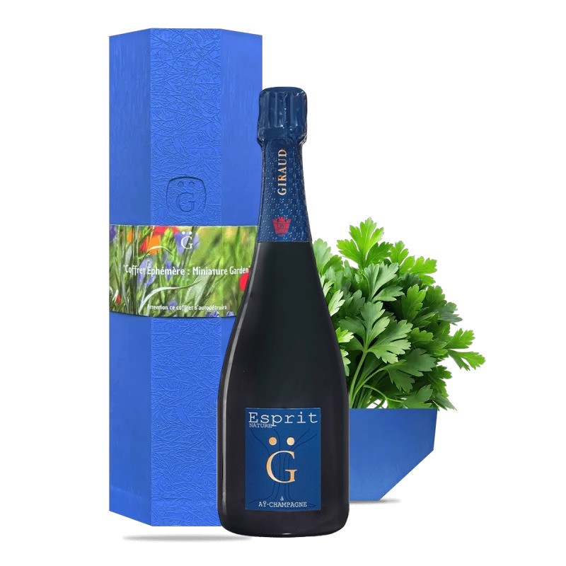 Henri Giraud Esprit Nature Coffret Éphémère Champagne