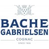 Bache Gabrielsen