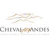 Cheval des Andes