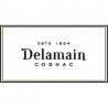 Delamain